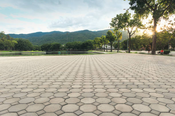 Best Local Driveway Pavers  in Salinas, CA